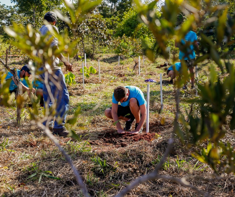 Melhores destinos para 2025